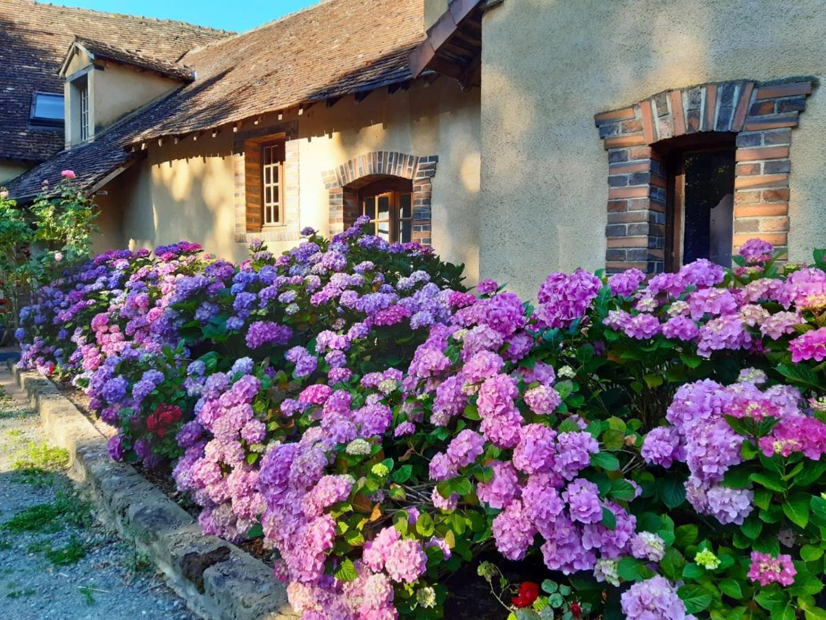 Chambres D'Hotes Domaine De La Jonquiere, Bouloire מראה חיצוני תמונה